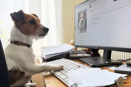 aristal-ai-generated-8605215_1280