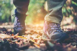 close-up-adventure-woman-feet-walk-mountain-path (1)