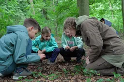 Scherm­afbeelding 2026-05-13 om 13.11.40