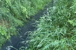 Scherm­afbeelding 2026-05-22 om 13.30.27