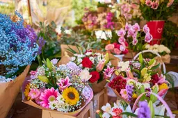 closeup-colorful-flower-bouquets-containers-outdoor-shop