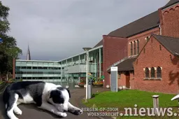 202250610 jkr hoo gemeentehuis hondenbelasting