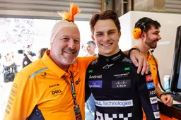 McLaren maakt zich nu alweer impopulair: 'Stelletje idioten'