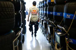 Red Bull-rijderspuzzel: kat met negen levens verdrinkt dan toch, oplossing ligt klaar