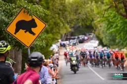 Reacties etappe 5 Tour Down Under | Ewan: 'Ik probeerde mezelf te beschermen'