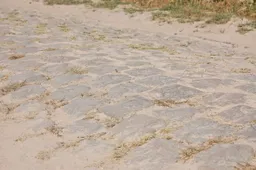 [Update] Terpstra en Ten Dam sturen EK-renners over kasseien in Alkmaar