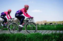 Strijdvaardige Langeveld in Roubaix: 'Ze rijden mij er in deze conditie niet af'