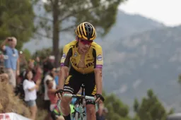 Roglic tweede op steile slotklim: 'Valverde is er goed in, maar ik kan dat ook'