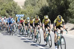 Dominant Jumbo-Visma wint, leert en geniet: 'We hebben als ploeg gevochten'