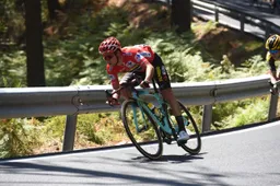 Kerckhoffs streng voor Roglic: 'Commissarissen hebben voor fair-play gekozen'