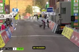 Baasje Druivencross-hond: 'Ik schaam me en heb er echt wakker van gelegen'