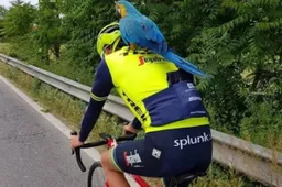 Papegaai van overleden Scarponi vindt nieuw maatje in broertje Nibali