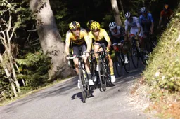 Dumoulin waakt voor Pogacar: 'Kan zomaar omslaan in derde week'