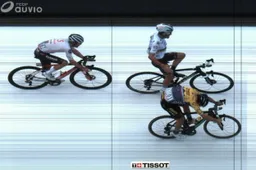 Roglic wint Luik-Bastenaken-Luik na te vroeg juichen Alaphilippe