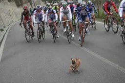 Weerbericht Milaan-Sanremo: Fris lenteweer, wind lijkt in voordeel van aanvallers