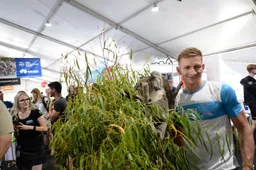 Greipel wil in 2021 gewoon genieten: 'Profwielrenner zijn was mijn kinderdroom'