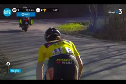 [Update] Niermann: 'Geen enkele UCI-commissaris zag tweede valpartij Roglic'