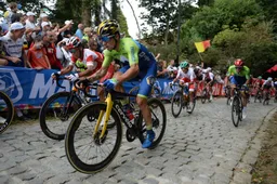 Roglic komt niet uit de verf op WK in Vlaanderen: 'Moet nog veel leren op dit soort parcoursen'