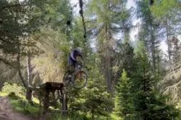 🎥 Van der Poel vermaakt zich richting Tour opperbest met jumps op zijn mountainbike