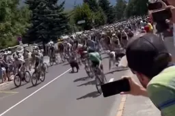 Lampaert woest na harde val door hond in twaalfde Touretappe: 'Laat je hond thuis!'