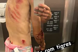 Gehavende Guerreiro na hectische tweede Tourrit, Martínez en O'Connor ten val gekomen