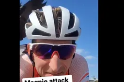 🎥 Vogels houden niet van Bauke Mollema: Nederlander krijgt na training ook in Mixed Relay bezoek