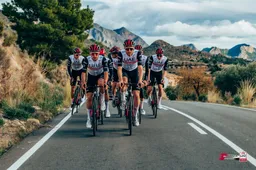 Interview | Wellens werkt bij ploeg Pogacar helemaal anders: 'Anderen willen niet meer met mij trainen'