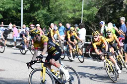 Zwemcoach Verhaeren stelt Fransen gerust na Jumbo-Visma-nieuws: 'Mijn prioriteiten zijn duidelijk'