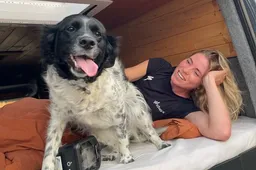 Wat is de (positieve) impact van hond Flo op het leven van Demi Vollering? 'Het maakt niet uit wat je wint'