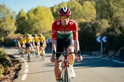 Visma | Lease a Bike ziet veelbelovende Valter ('heel goede dag') en Lemmen ('voelde zich minder') in UAE Tour