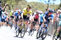 Visma | LaB moet in Wallonië met 4 man verder, Van Dijke rijdt resultaat: '3 jaar geleden voor het laatst gesprint'