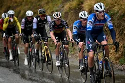 Terug naar de kern of totale waanzin? Boonen en Bakelants hebben idee: 'Ruil Evenepoel voor Van Aert'