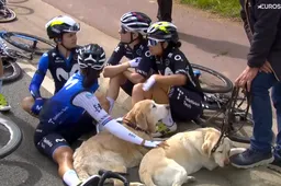 📸 75 minuten neutralisatie: van knuffelen met honden tot rustig bijkletsen, maar vooral medeleven met motard