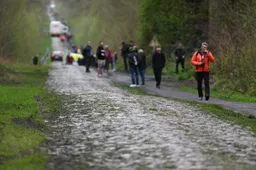 bos van wallers arenberg