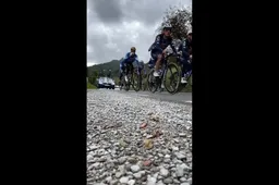 🎥 Nog altijd spookachtig in Italië! UAE Team Emirates en Soudal Quick-Step verkennen Lombardije