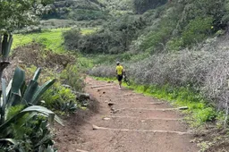 wout van aert tenerife