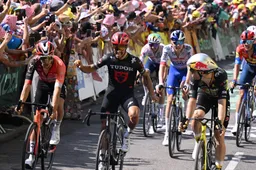 Peloton lacht om (wederom) foutief juichende Alaphilippe: 'Hij had beter een extra kopbeurt gedaan'