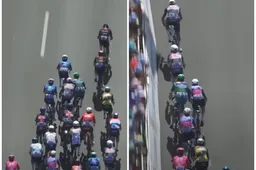 milan-van-der-poel-stewart