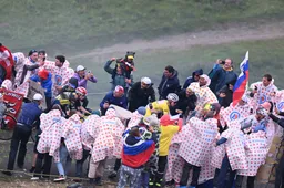 De Cauwer zag Visma | Lease a Bike eigen manschappen er doorheen jagen in eerste Alpentest in Tour de France