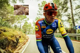 'Geniet van stapjes die je kunt zetten'; Mads Pedersen 5 dagen na zware val alweer op de rollers