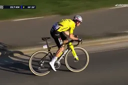 Niermann nuanceert pech Van Aert, die 'jonkies' Visma | Lease a Bike op sleeptouw nam