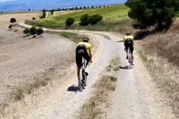 van-aert