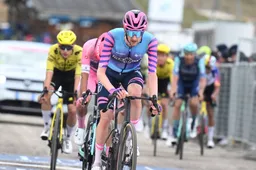 wout-poels