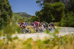 peloton-tour-de-france