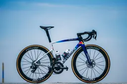 specialized