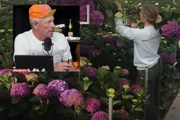 vollering-bloemen-armstrong