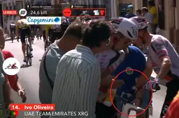 domen-novak