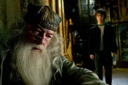 michael gambon harry potter and the goblet of firef1695910069