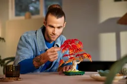 lego japanse esdoorn bonsai