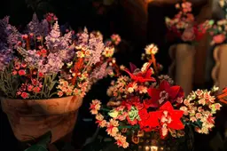 Lego World 2025  botanicals